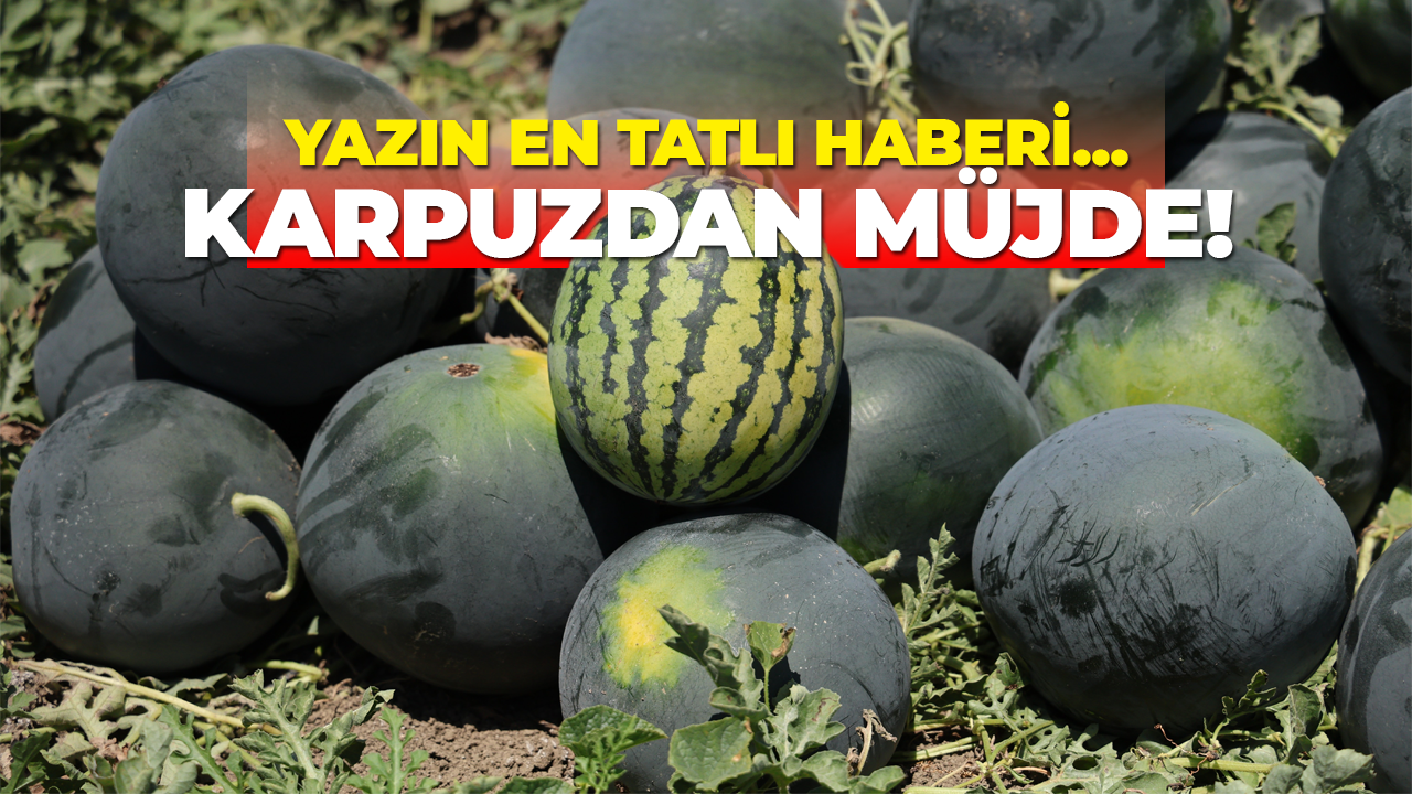 Yazın en tatlı haberi... Karpuzdan müjde!