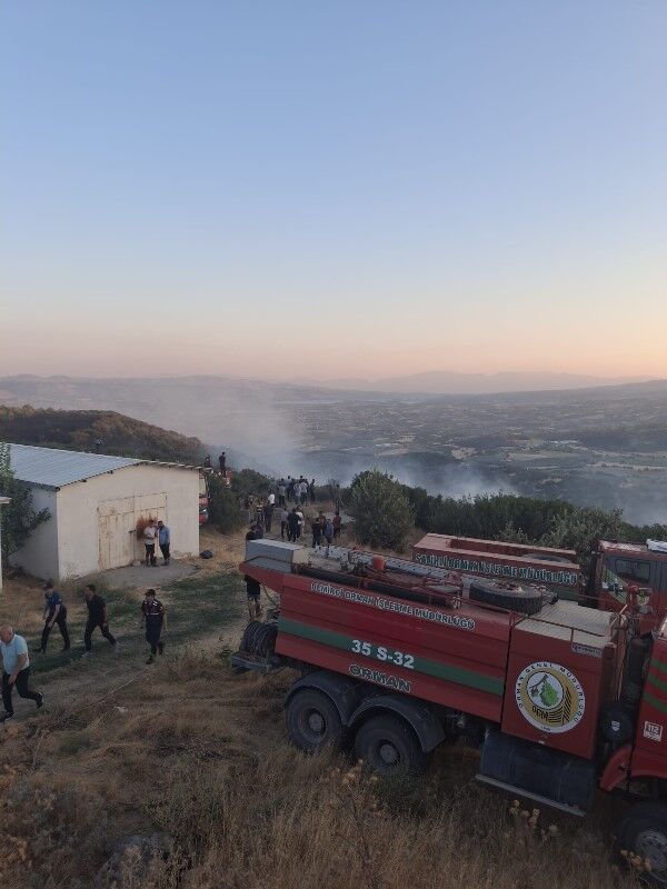 Orman Yangını