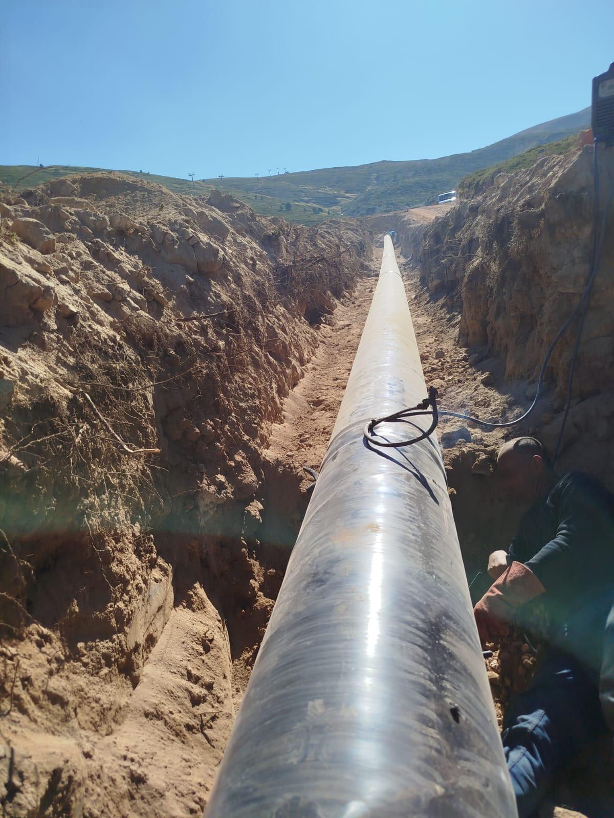 36281 M T Y5 M D A3 O W 3