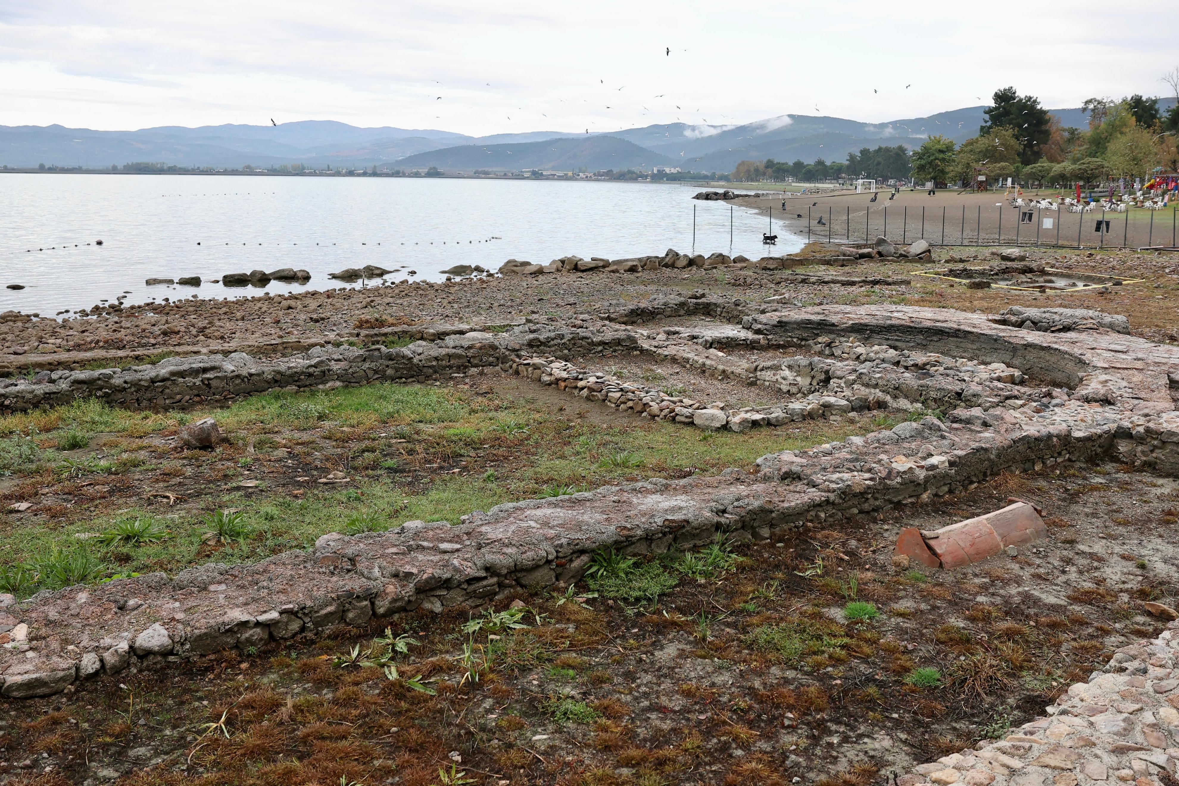 36283 M T Y5 M D A5 Y T 5