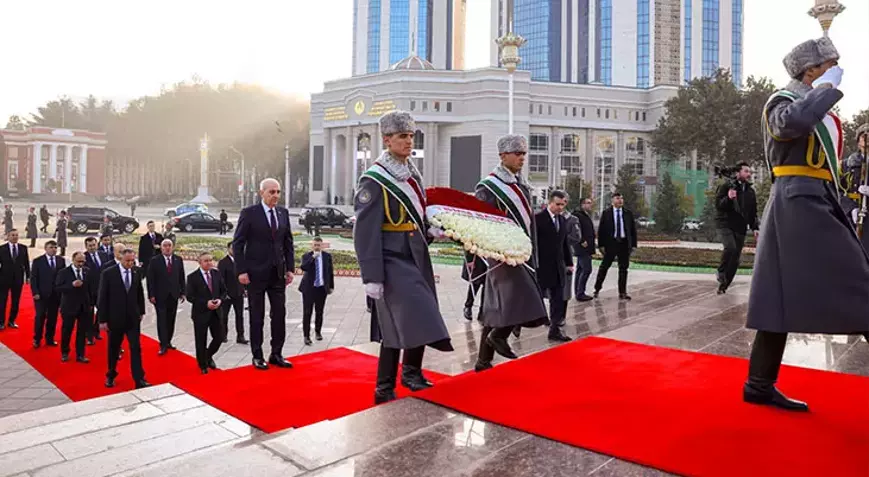 692E8801D24A59675F7Dfb8A