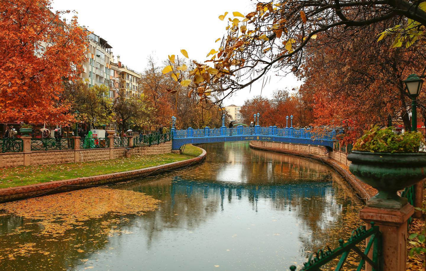 74218930 2582006331846156 1656012593313087488 N