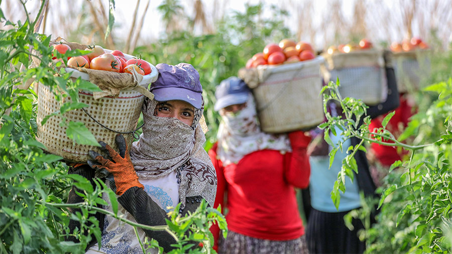 444F0F736507Dac74C8A