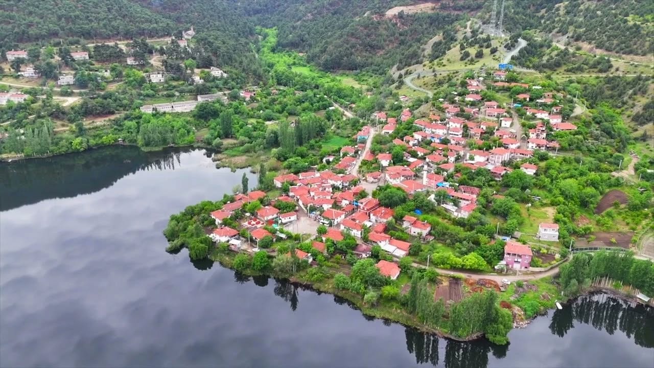 552238432 1217293003767878 6925043901922823517 N