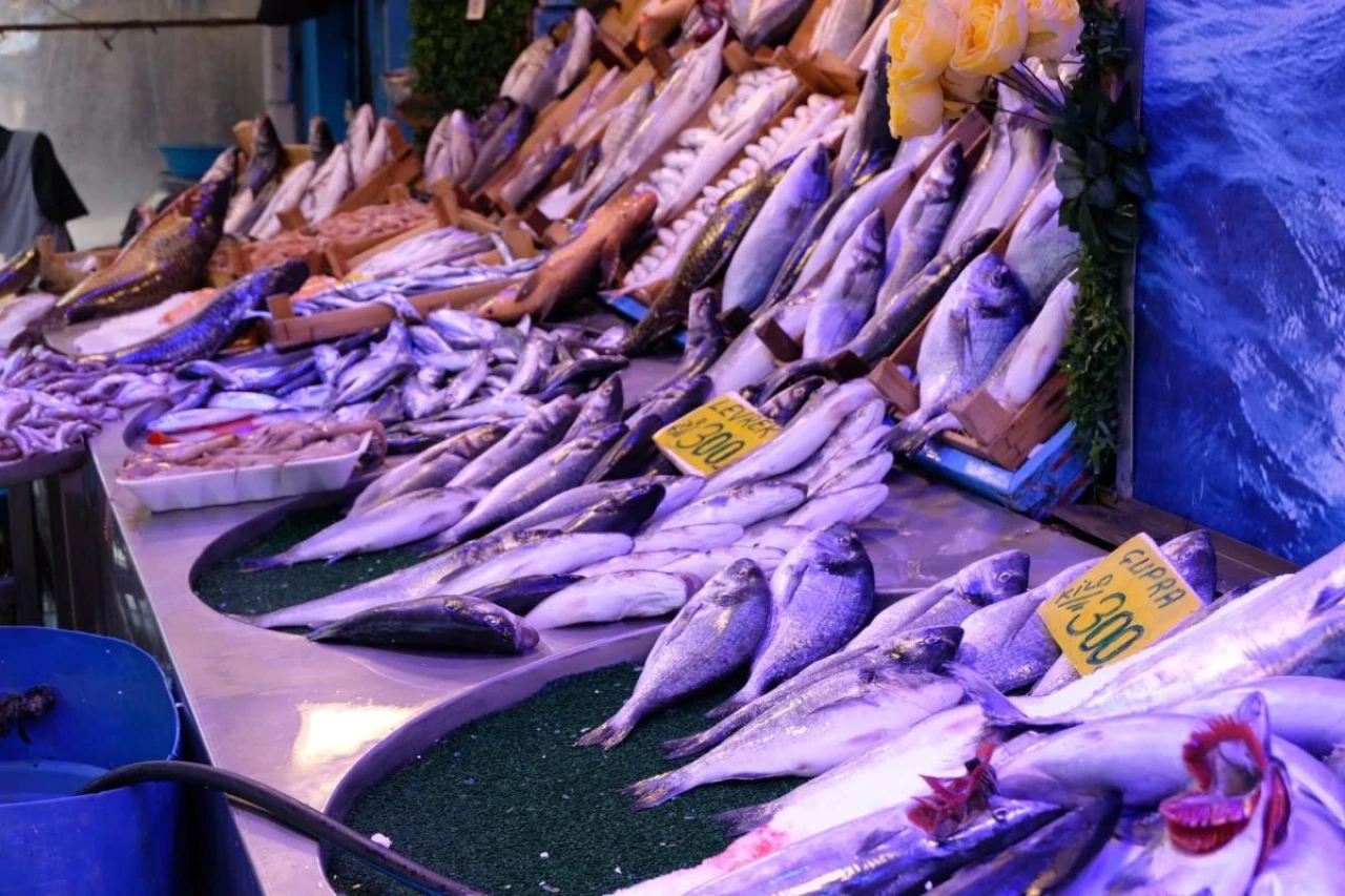 66D6Fe31Ebce8 Whatsapp Image 2024 09 03 At 15.13.35