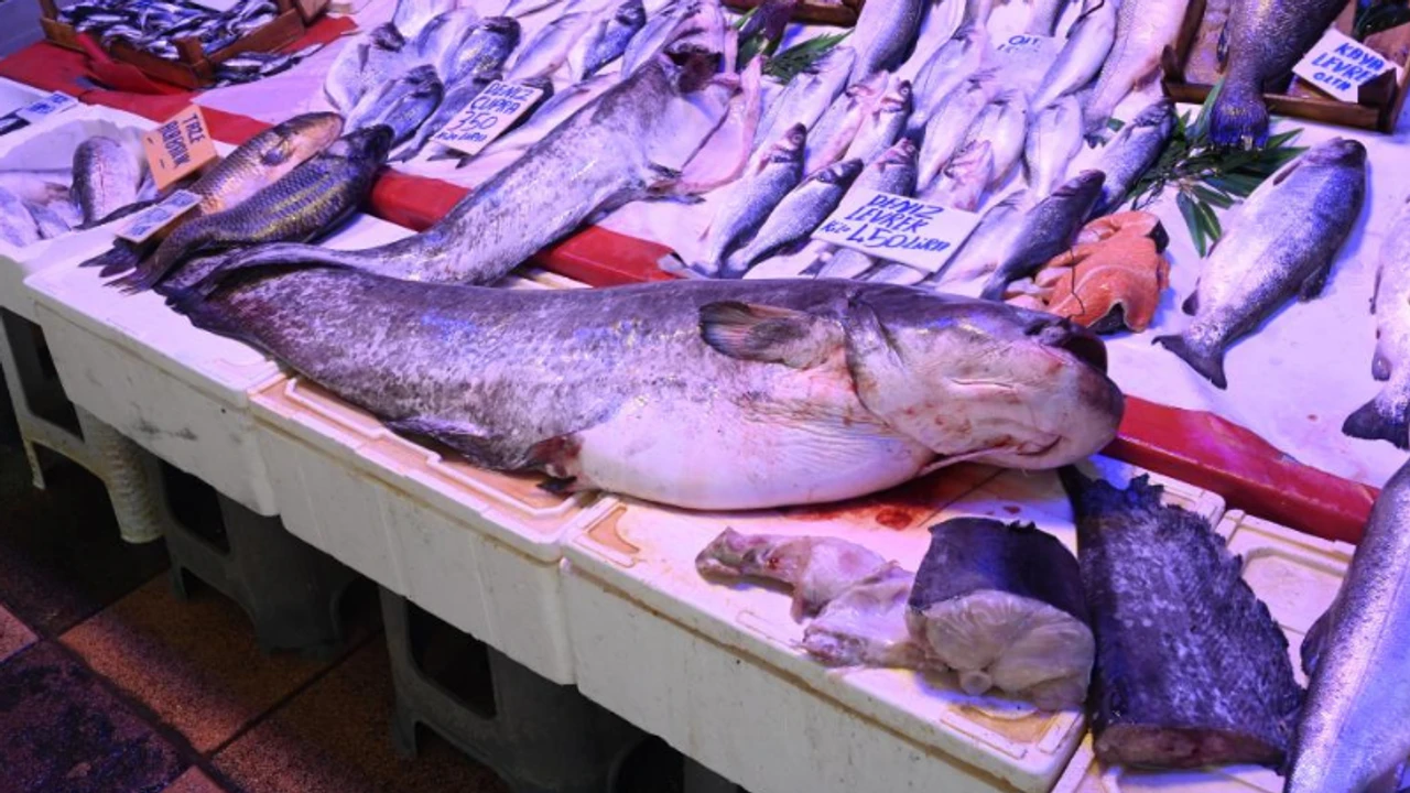 Eskişehir Balık Fiyatları 1