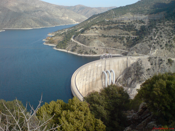 C8E385Dc 9D34 47Ef A3Ae F5751F47B89C