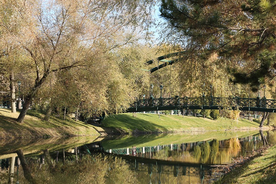 E2A71481 0A58 4988 B627 8Cf8192Bdd0E-1