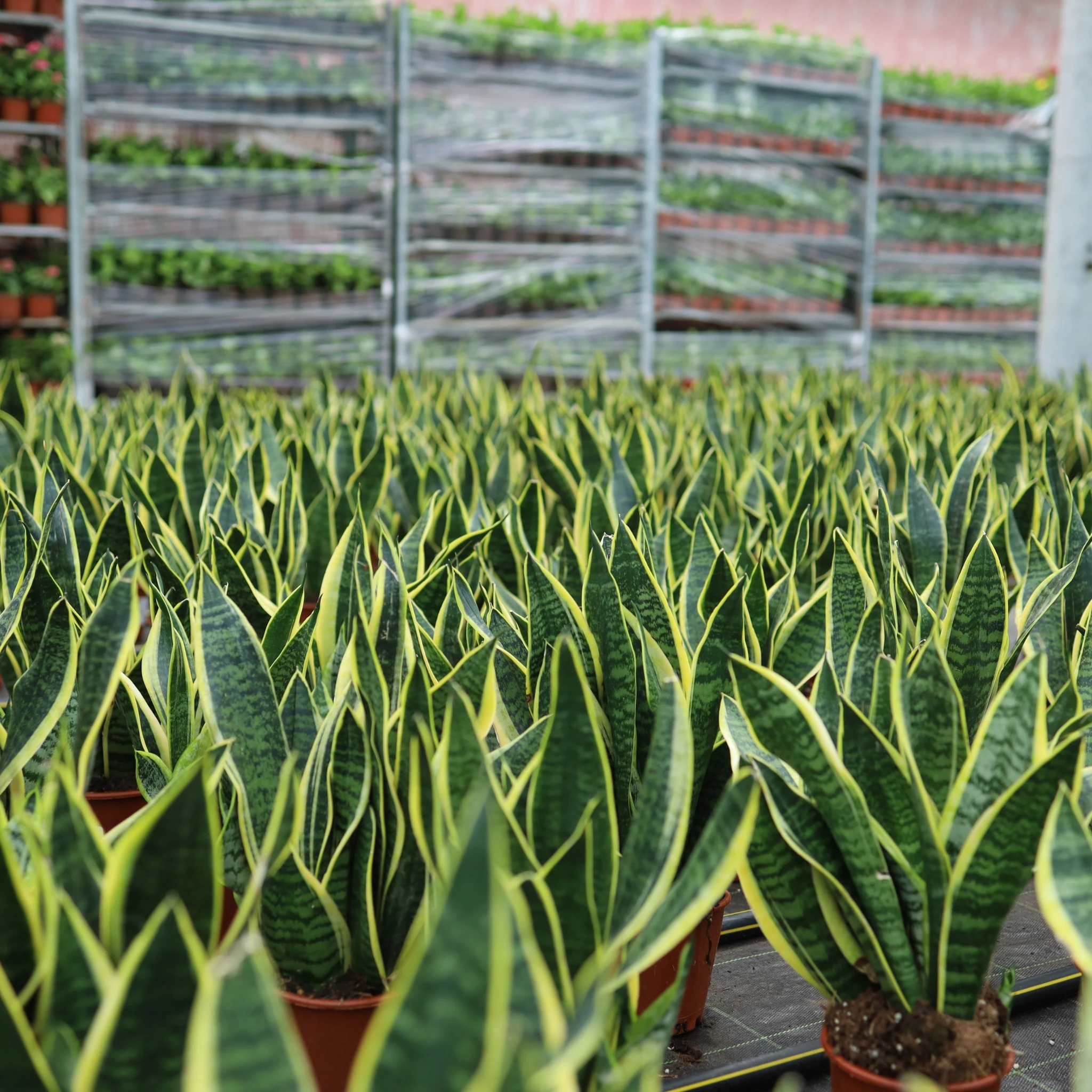 Ek Gorseller Eticaret Gorseller Kopyasi 1