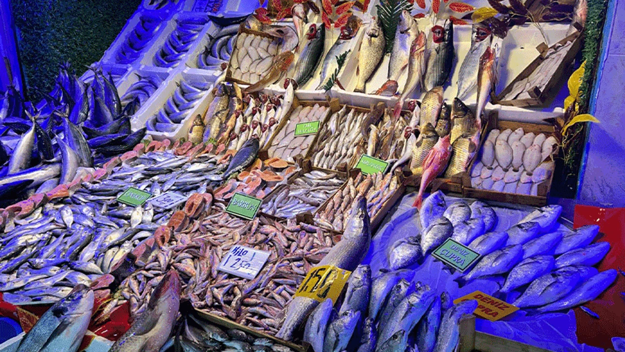 Eskisehirde Balik Fiyatlari Cep Yakiyor Iste Tezgahlardaki Son Durum