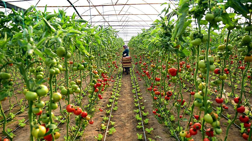 Thumbs B C F847A0Efac695Bd10Bcecf2A0B6C3C48