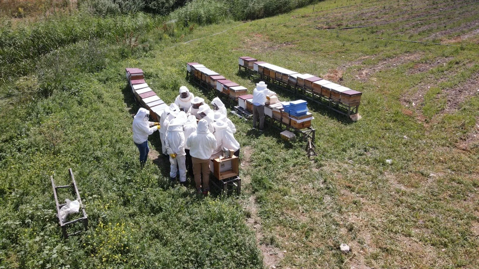 Kendi Balını Üretmek İsteyenler Dikkat