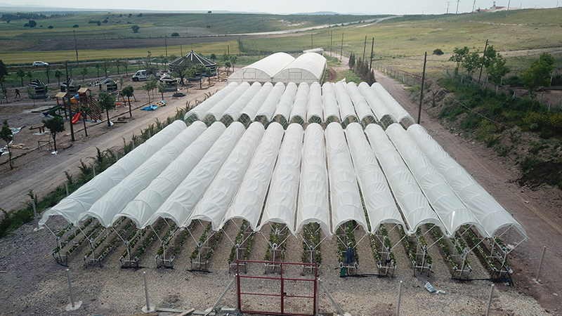 Çi̇dem İçi̇n İmzalar Atildi (4)