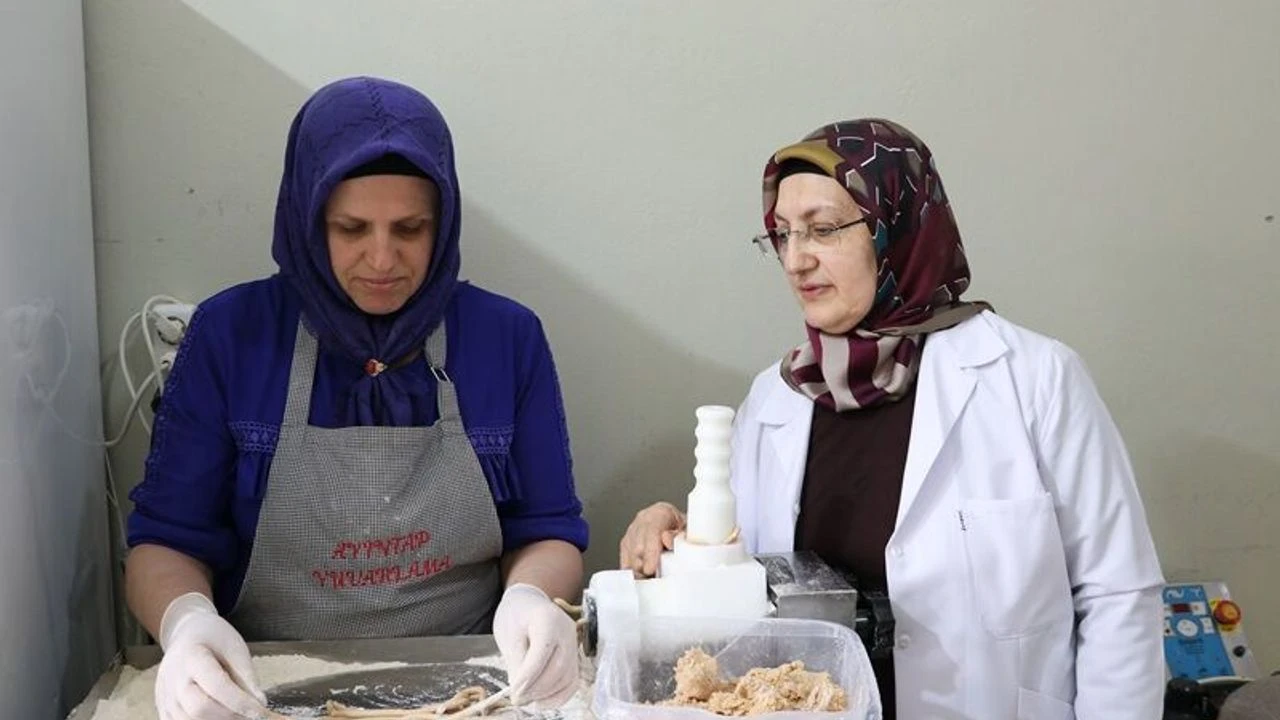 Kadian Girisimci Kosgep Destegi