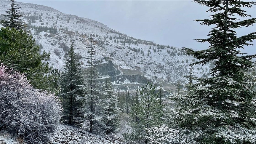 Eskişehir'in kırsalı beyaza büründü