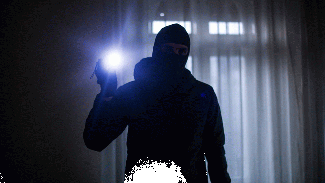 Ruyada Hirsiz Gormek