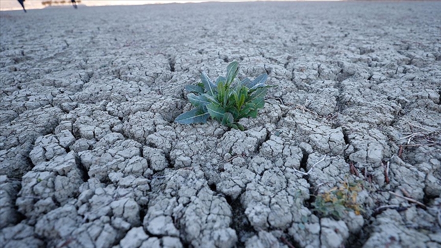 Yağışlar etkisini gösterdi: Eskişehir'de yıllardır kuru kalan dere yeniden akmaya başladı