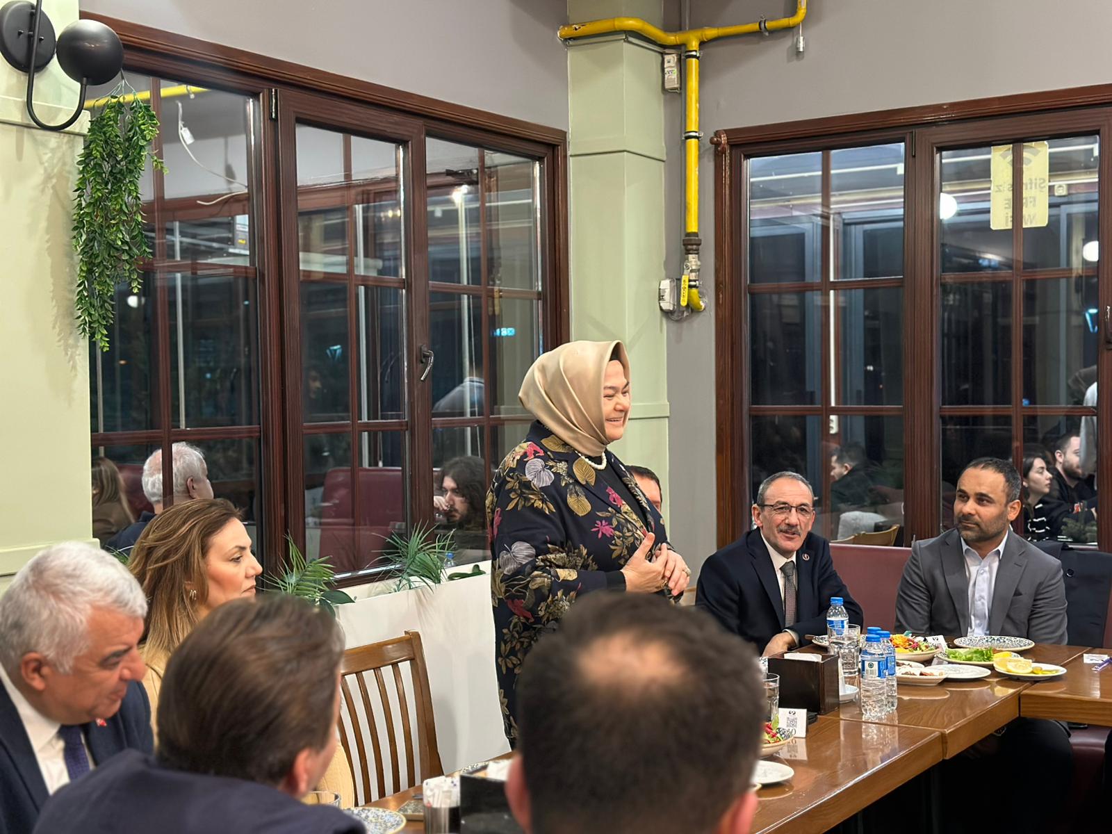 DOSTLUK VE İSTİŞARE MECLİSİ 