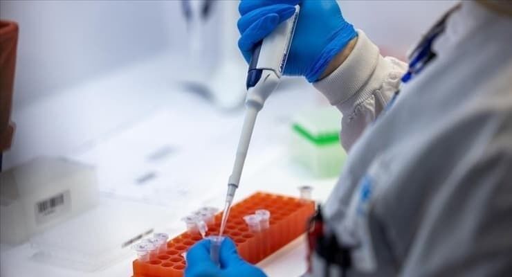 Grip mi, Domuz Gribi mi? 