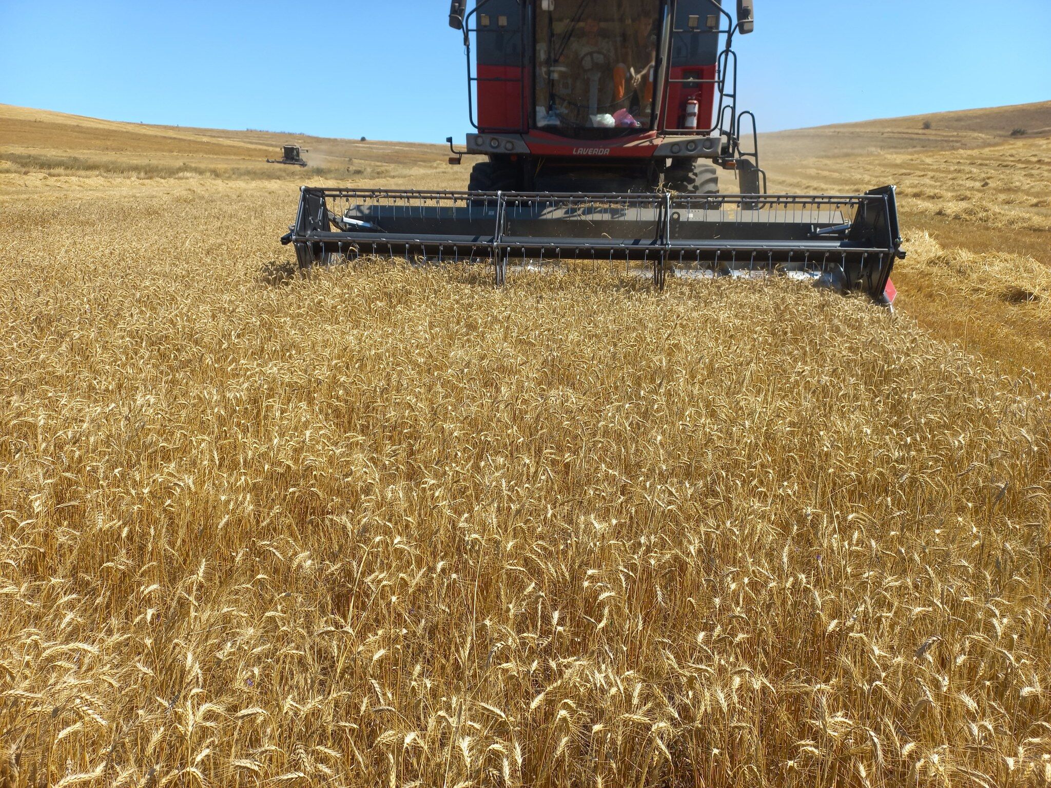 486319415 1053305706833238 9172416062317810979 N