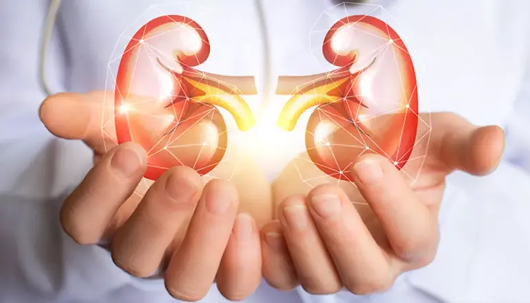 Böbrek Sağlığınız İçin Kritik Uyarı