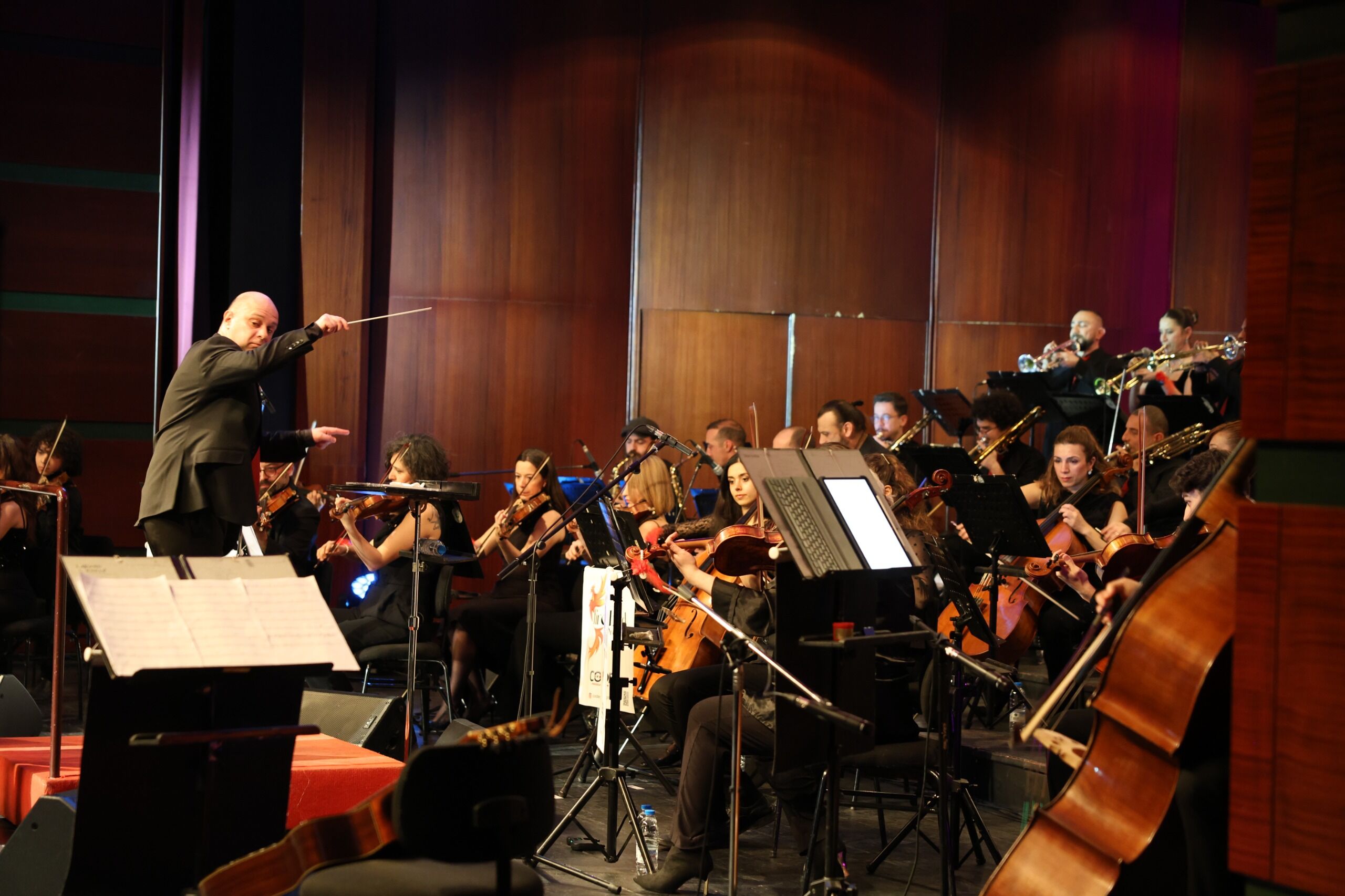 Fırebırd Orchestra 