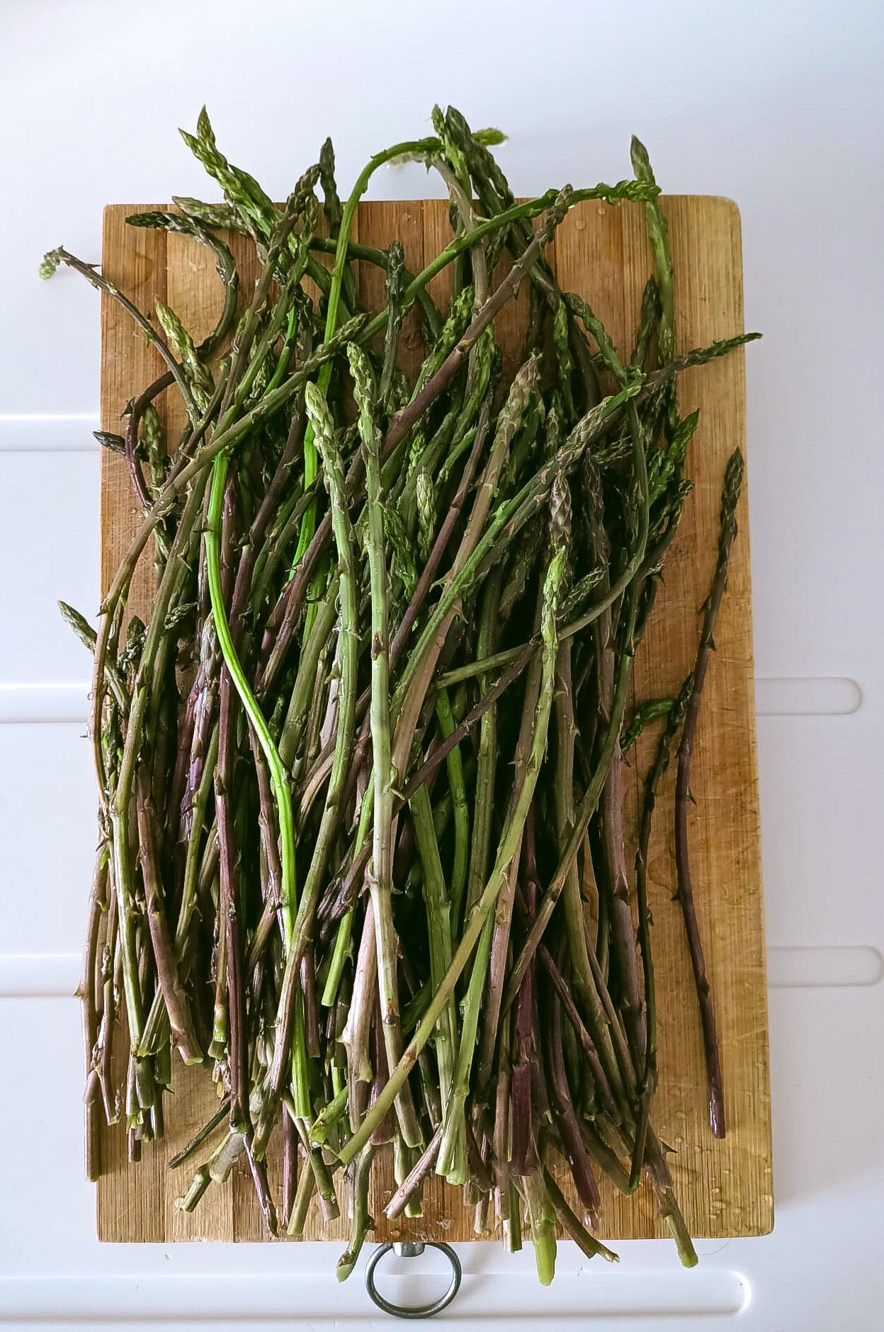 Kedirgen ve Sarmaşık Otu Mevsimi Başladı