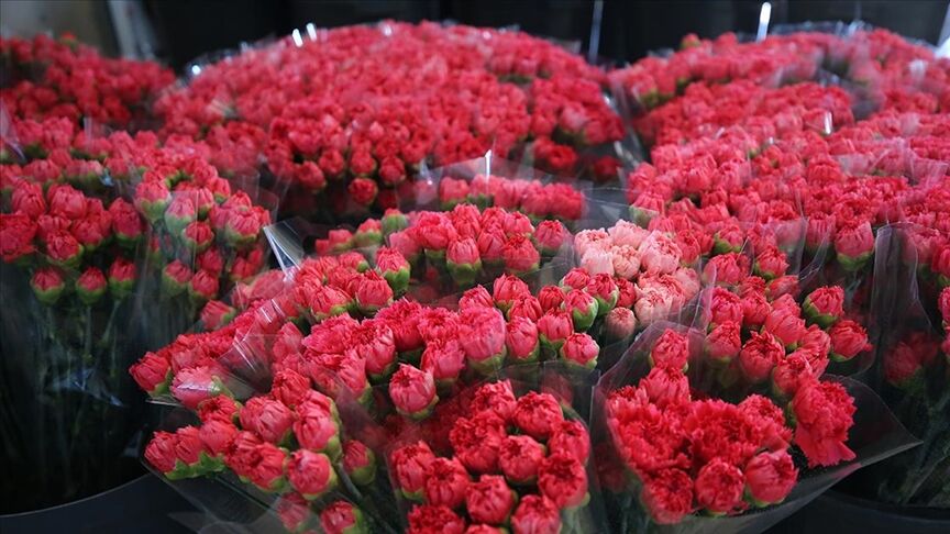 Sevdiklerinizi Özel Hissettirecek 2026 Kadınlar Günü Mesajları ve Sözleri