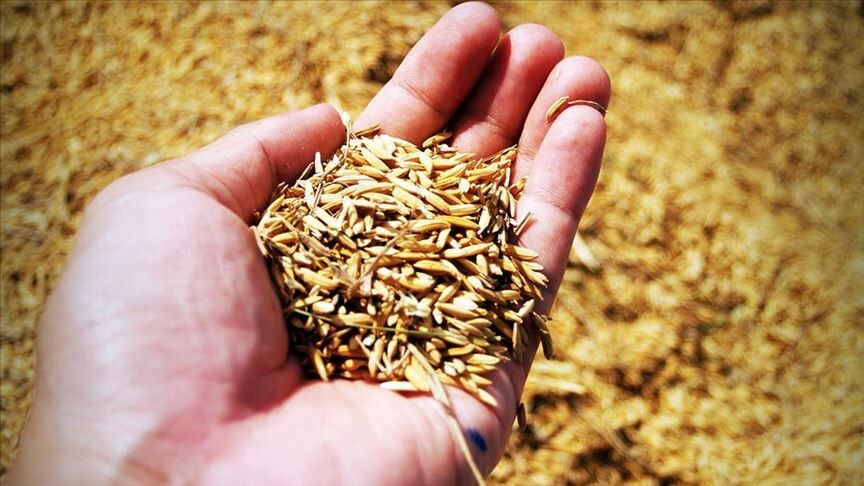 Thumbs B C 1Ad97E34E3A7Acd6D3F889682973B8F9