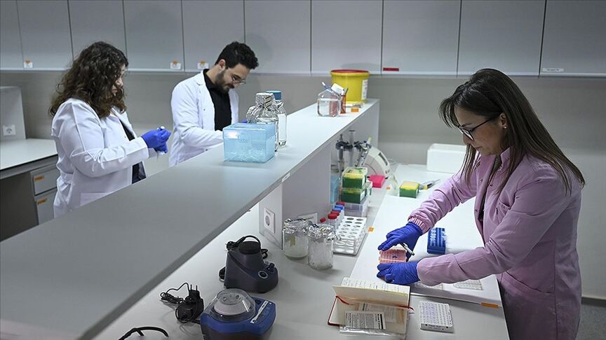 Kanser Hücrelerinin "Zırhı" Delindi: NSMF Nedir?