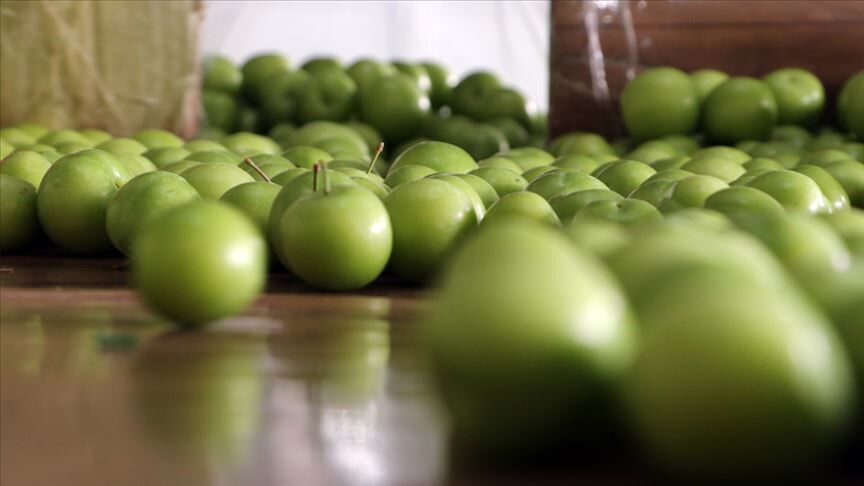 Eskişehir’de Marketlerde "Erik" Mesaisi