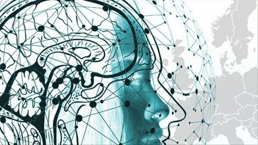 Zeka Testlerini Unutun! Gerçek Zekanın "Gizli" İşareti Ortaya Çıktı