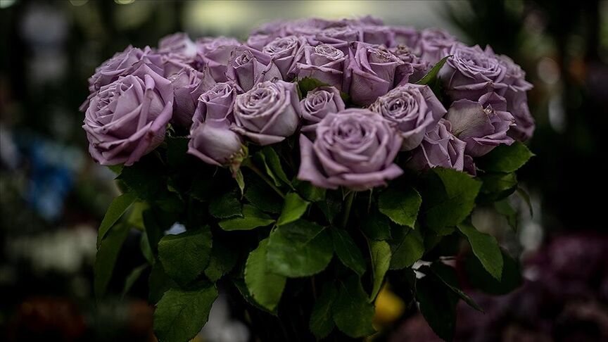 Sevdiklerinizi Özel Hissettirecek 2026 Kadınlar Günü Mesajları ve Sözleri