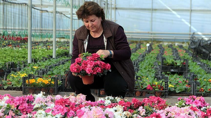 Sevdiklerinizi Özel Hissettirecek 2026 Kadınlar Günü Mesajları ve Sözleri