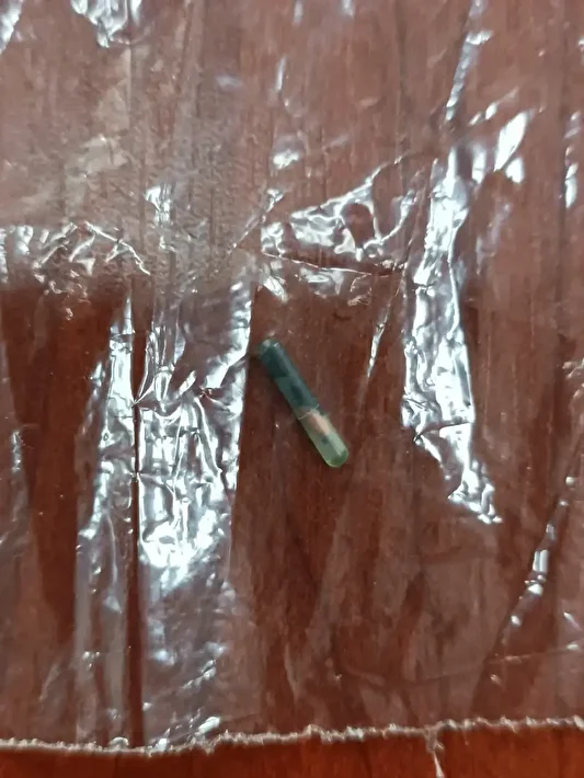 Mersin Belediye Yemeğinden "Yarış Atı Çipi" Çıktı! 