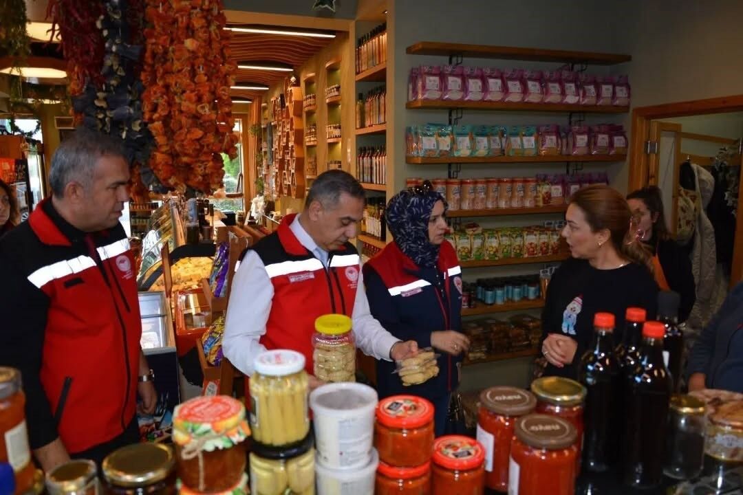 Gıda ve yem denetimi