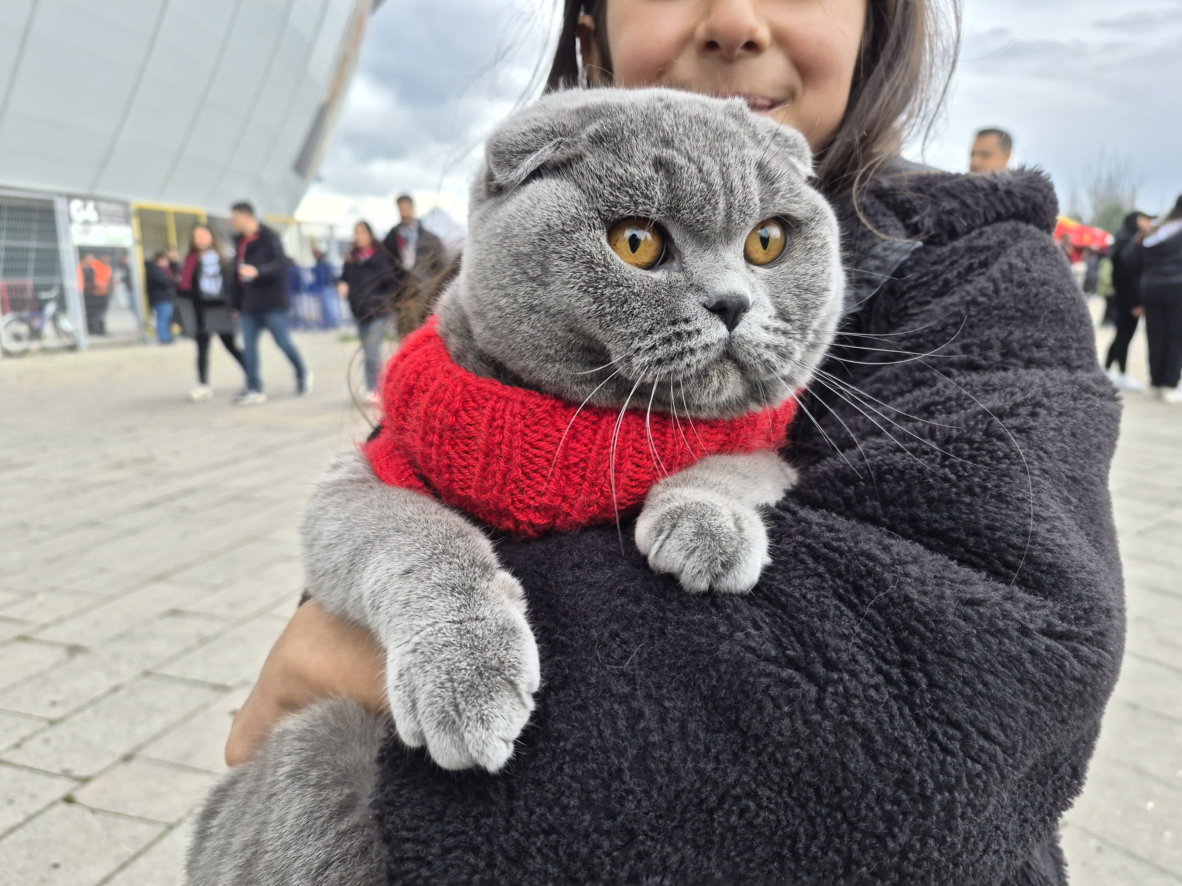 ESKİŞEHİRSPORLU KEDİ