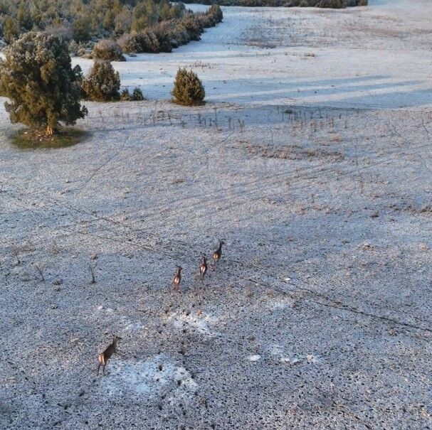 Eskişehir Karlı Zirve