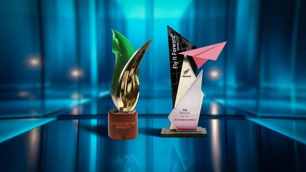 TEI Uluslararası Başarı