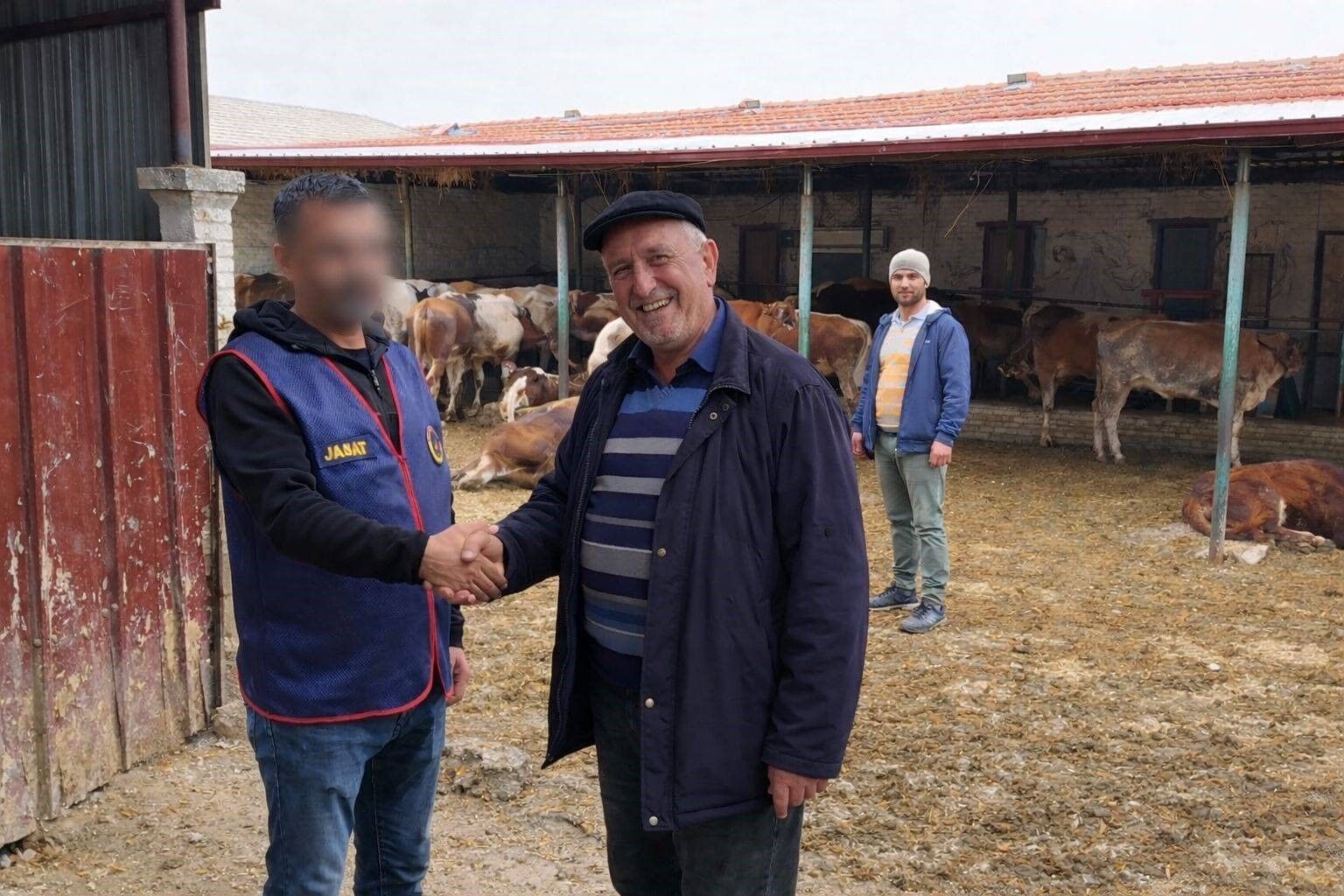 Çobanları hamama götürüp oyaladılar, 36 büyükbaş hayvanı çaldılar