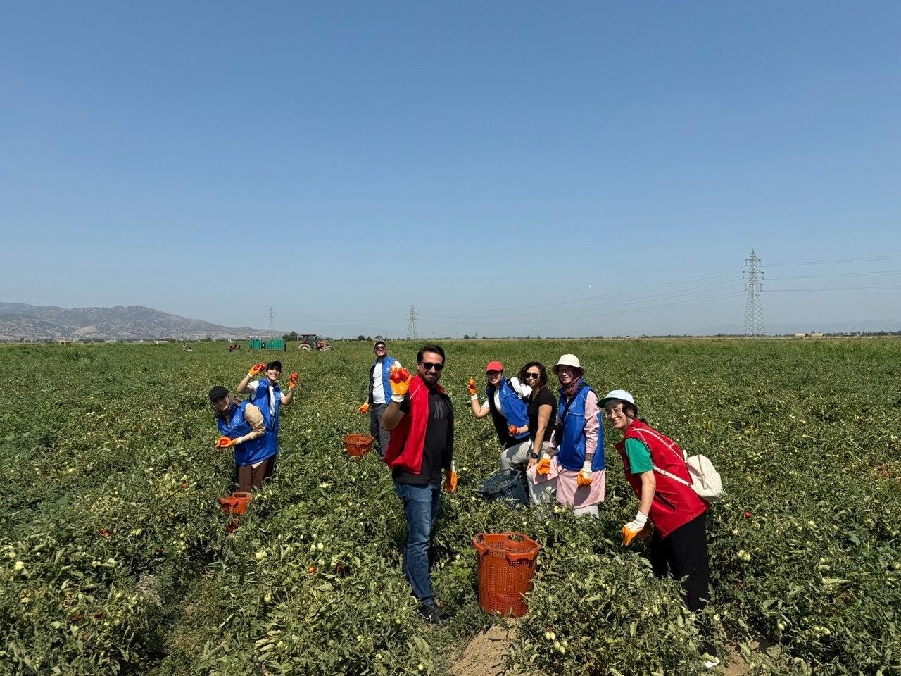 HASAT, TARIM, ÇİFTÇİ