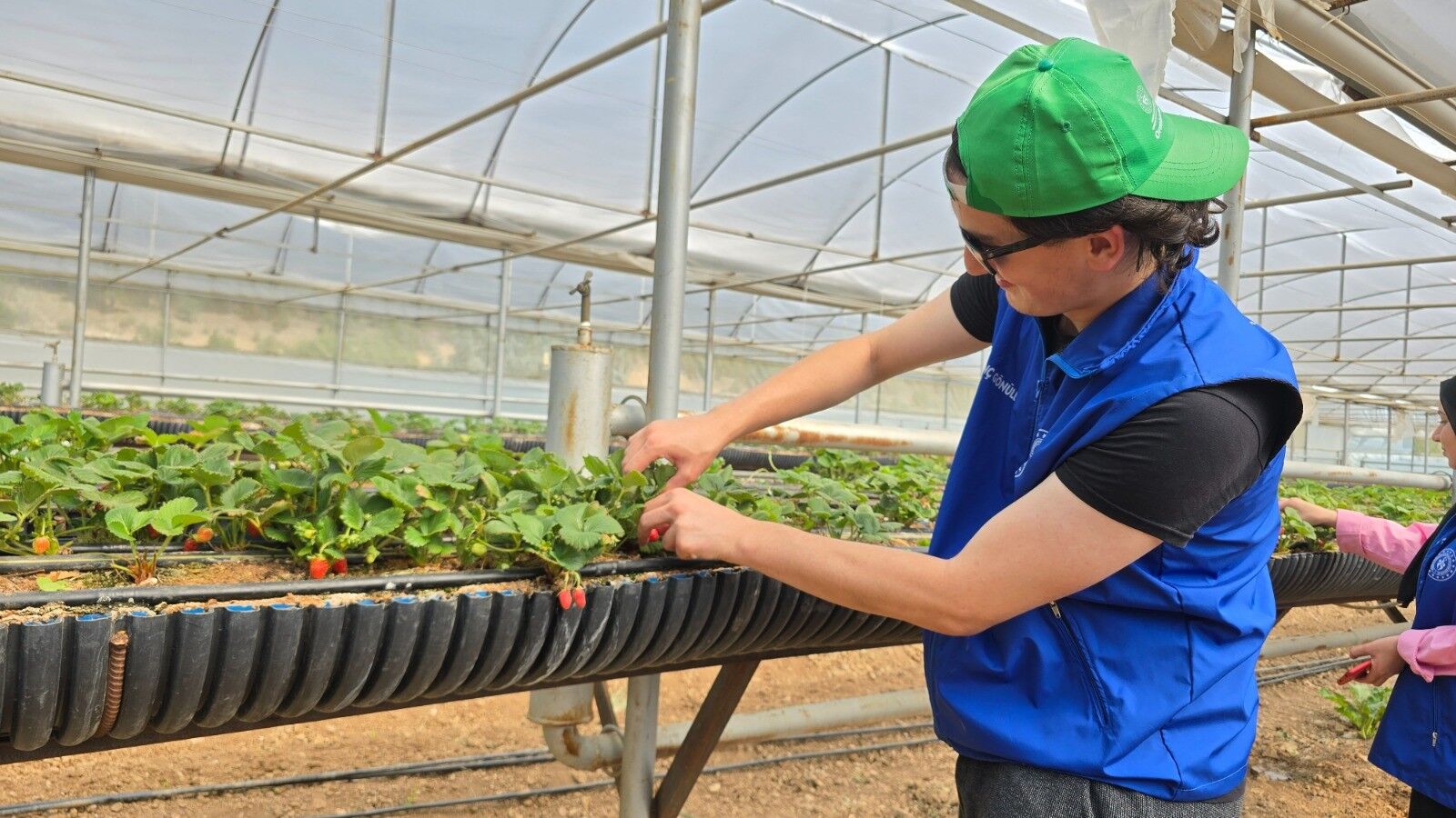 HASAT, TARIM, ÇİFTÇİ