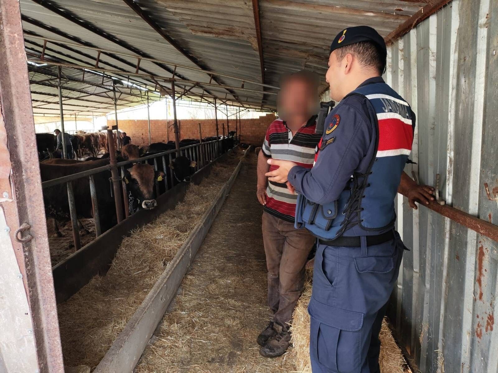 Hayvan Dolandırıcılığı