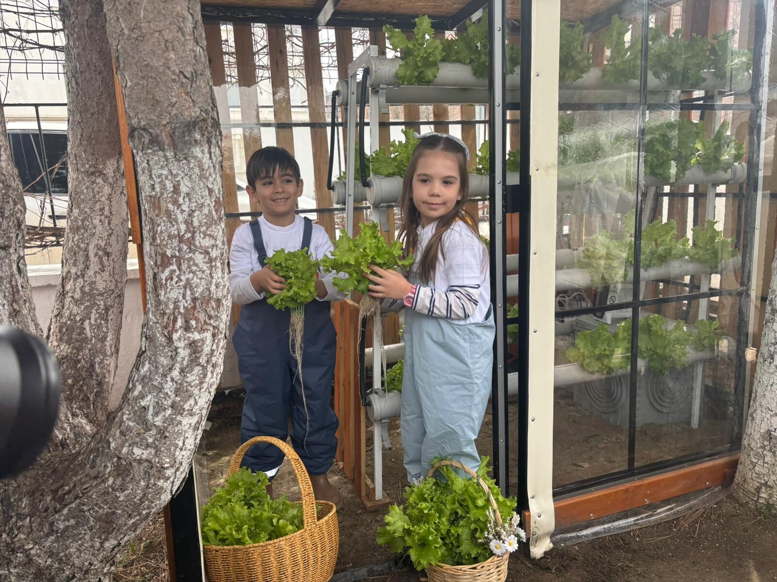 Anaokulu Öğrencilerinden Topraksız Tarım 