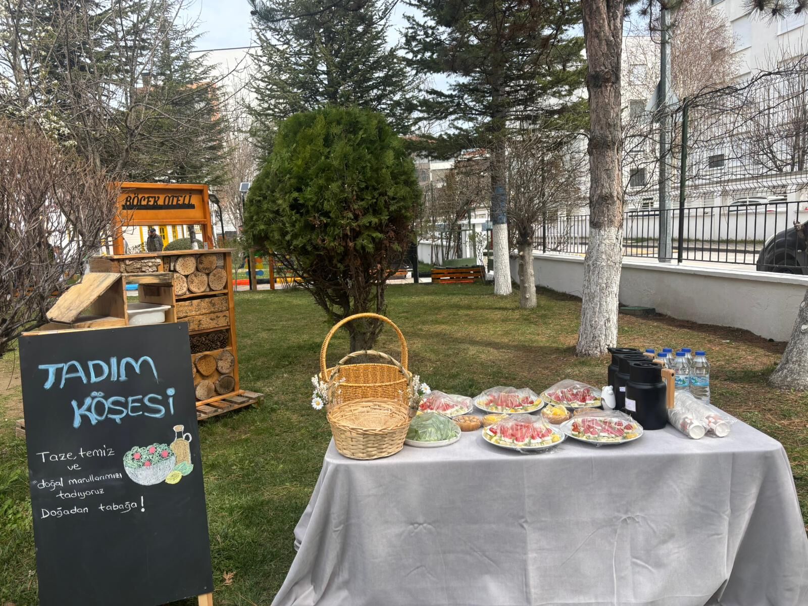 Anaokulu Öğrencilerinden Topraksız Tarım 