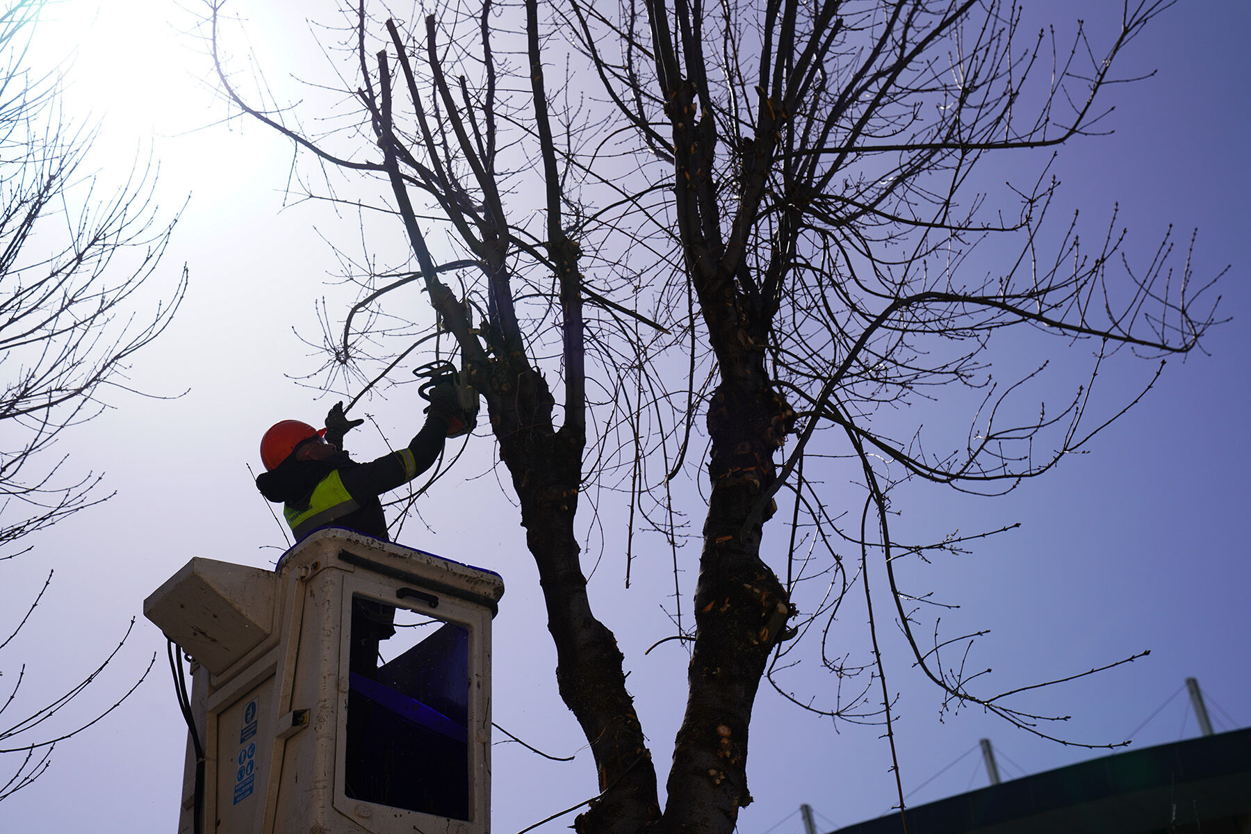 Tepebaşı Budama Çalışmaları