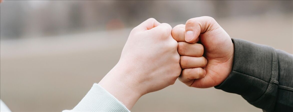 En güvenilir isimler