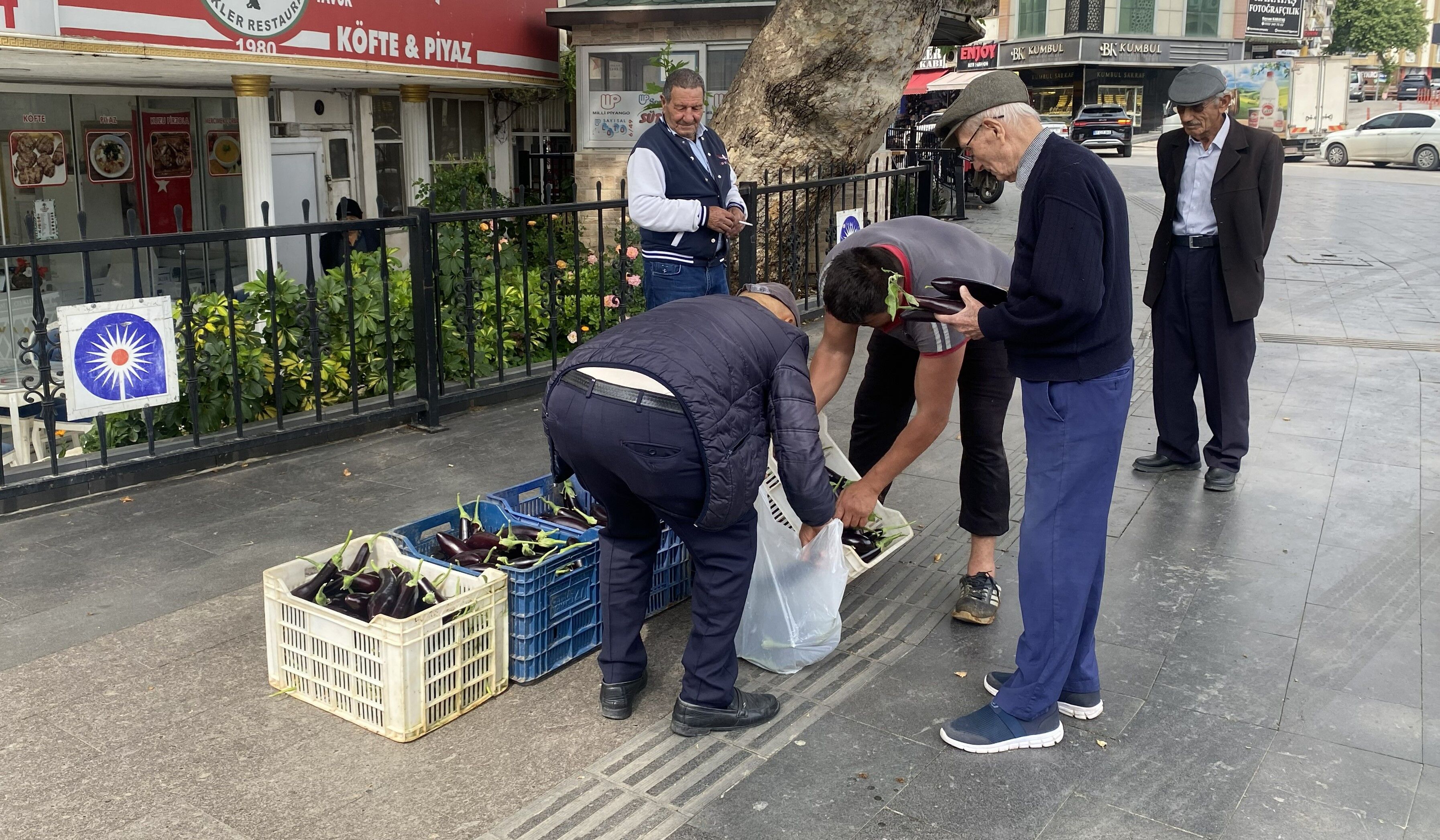 antalya, serik, üretici, hasat