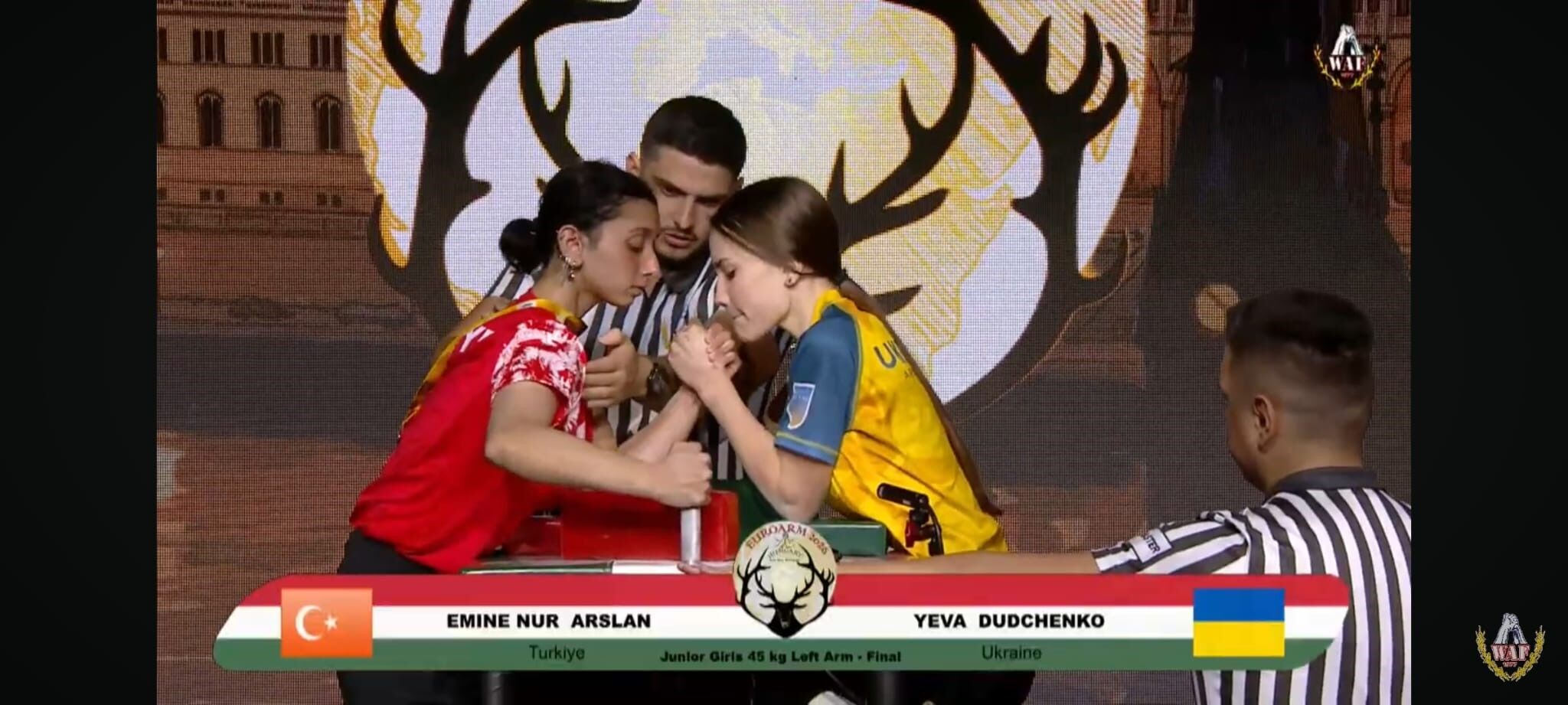 Emine Nur Arslan