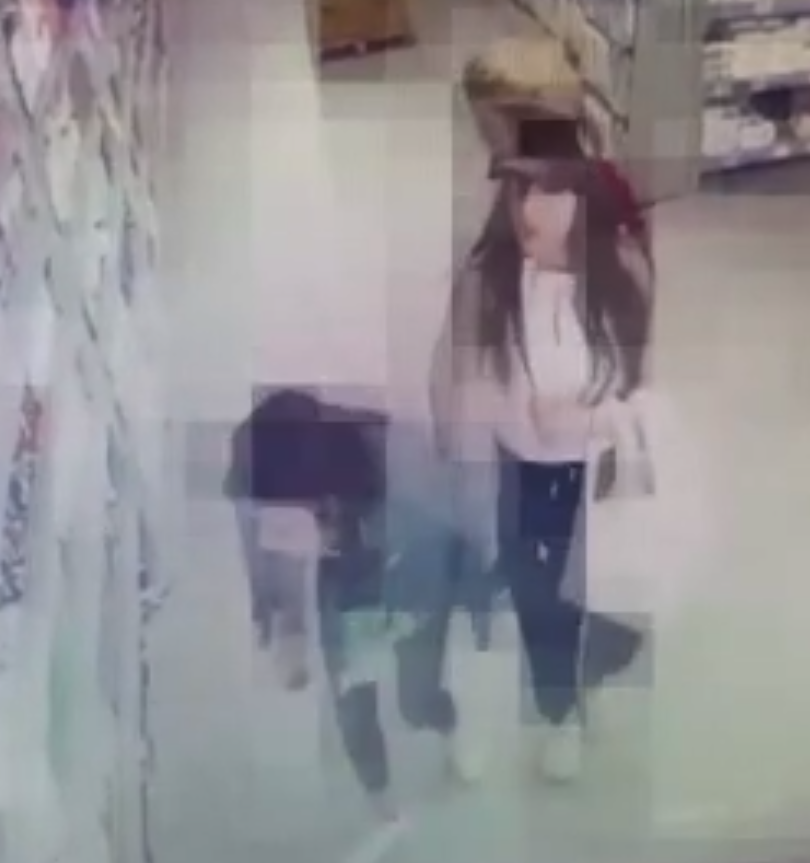 Hırsız